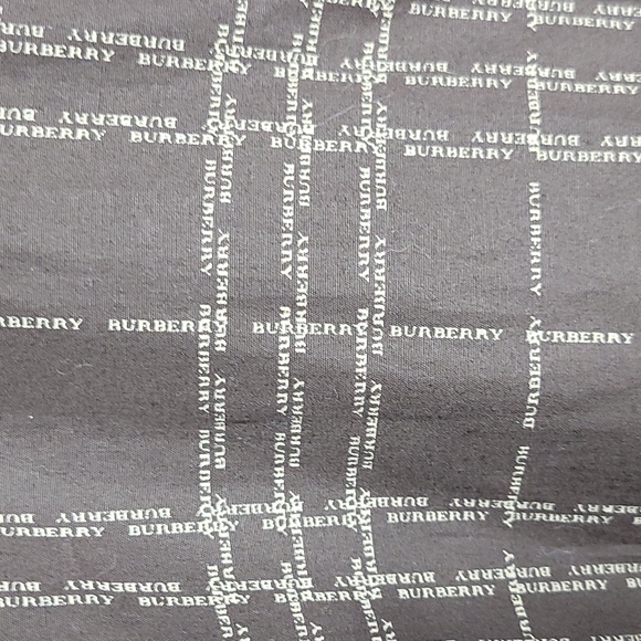 Burberry London Men's Button Up Brown Spellout Micro stripe Plaid Shirt Sz L - Picture 4 of 11